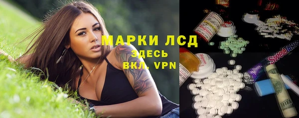 стаф Алзамай