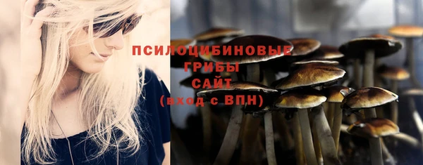 кокс Алексеевка