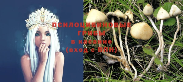 прущий лед Алексин
